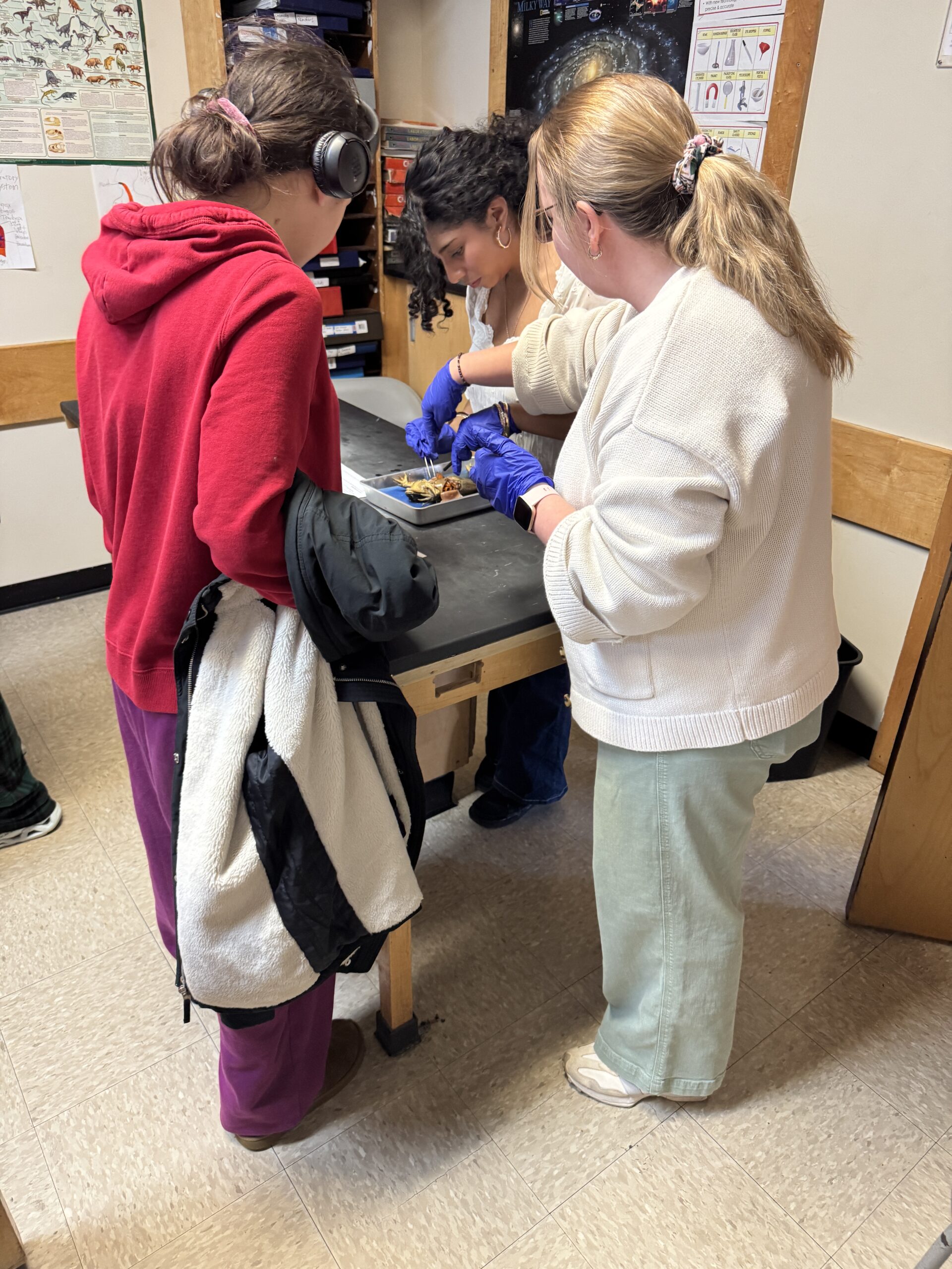 Students in a classroom